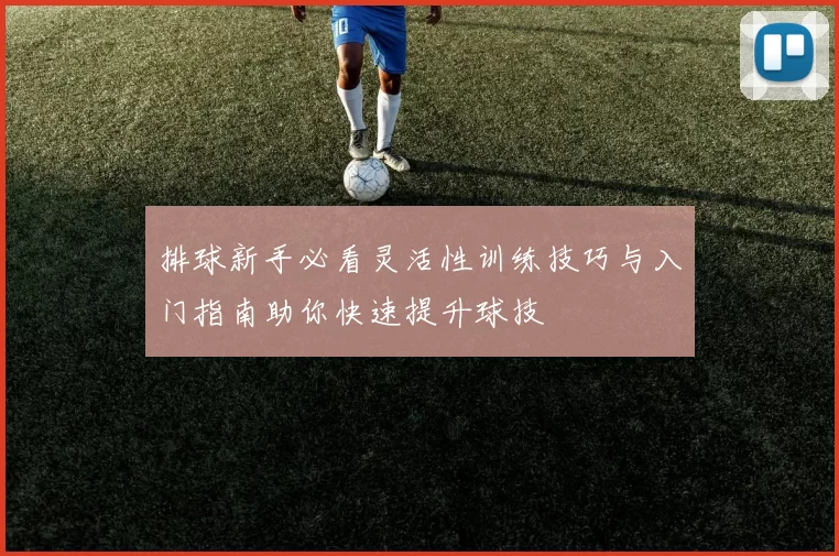 排球新手必看灵活性训练技巧与入门指南助你快速提升球技